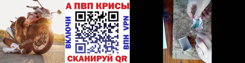 А ПВП СК КРИС  Суворов 
