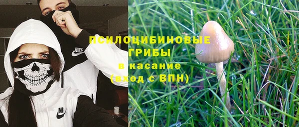 дживик Богородицк