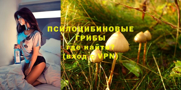 таблы Богородск