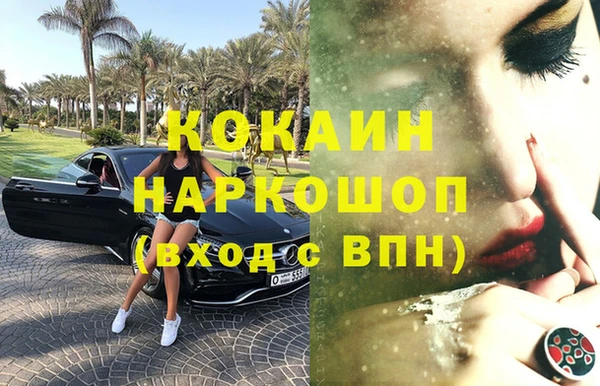 дживик Богородицк