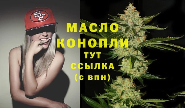 дживик Богородицк