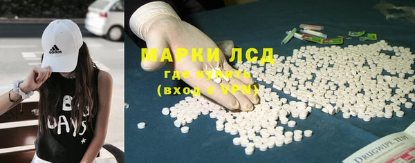 дживик Богородицк