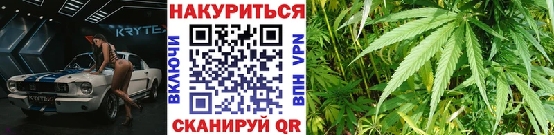 Марихуана семена  Суворов 